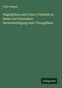 Ernst Wagner: Hügelgräber und Urnen-Friedhöfe in Baden mit besonderer Berücksichtigung ihrer Thongefässe, Buch