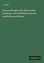 L. Singer: Untersuchungen über die socialen Zustände in den Fabrikzentren des nordöstlichen Böhmen, Buch