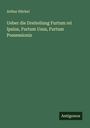 Arthur Hückel: Ueber die Dreiteilung Furtum rei Ipsius, Furtum Usus, Furtum Possessionis, Buch
