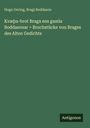 Hugo Gering: Kvæþa-brot Braga ens gamla Boddasonar = Bruchstücke von Brages des Alten Gedichte, Buch