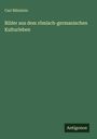 Carl Blümlein: Bilder aus dem römisch-germanischen Kulturleben, Buch