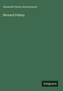 Alexander Bruno Hanschmann: Bernard Palissy, Buch