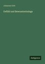 Johannes Orth: Gefühl und Bewusstseinslage, Buch