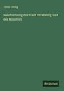 Julius Euting: Beschreibung der Stadt Straßburg und des Münsters, Buch