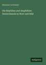 Hermann Lachmann: Die Reptilien und Amphibien Deutschlands in Wort und Bild, Buch