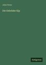 Jules Verne: Die Gebrüder Kip, Buch