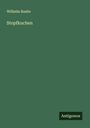 Wilhelm Raabe: Stopfkuchen, Buch
