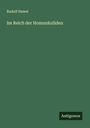 Rudolf Hawel: Im Reich der Homunkuliden, Buch