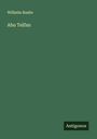 Wilhelm Raabe: Abu Telfan, Buch