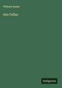 Wilhelm Raabe: Abu Telfan, Buch