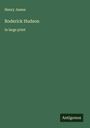 Henry James: Roderick Hudson, Buch