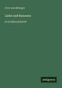 Artur Landsberger: Liebe und Bananen, Buch