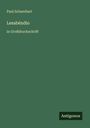 Text: Paul Scheerbart, Lesabéndio, in Großdruckschrift, Antigonos. Einfache grüne Fläche mit weißem Text.