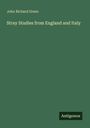 John Richard Green: Stray Studies from England and Italy, Buch