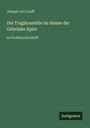Grüner Hintergrund, oben der Text: "Joseph von Lauff", darunter Buchtitel: "Die Tragikomödie im Hause der Gebrüder Spier". Unten rechts: "Antigonos".
