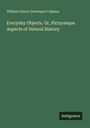 Buchtitel in hellen Schriften: "Everyday Objects. Or, Picturesque Aspects of Natural History" von William Henry Davenport Adams.