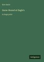 Buchtitel: "Snow-Bound at Eagle's" von Bret Harte. Text: "in large print." Grüner Hintergrund, Antigonos-Logo unten rechts.