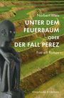 Norbert Weis: "UNTER DEM FEUERBAUM ODER DER FALL PEREZ, Fast ein Roman". Statue vor Reisfeld-Terrassen.