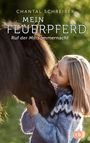 Chantal Schreiber: Mein Feuerpferd - Ruf der Mittsommernacht, Buch