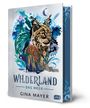 Gina Mayer: Wilderland - Das Meer, Buch