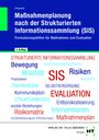 Christine Schwerdt: Maßnahmenplanung nach der Strukturierten Informationssammlung (SIS), Buch