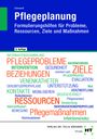 Christine Schwerdt: Pflegeplanung, Buch