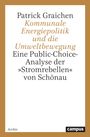 Patrick Graichen: Kommunale Energiepolitik und die Umweltbewegung, Buch
