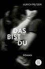 Ulrich Peltzer: Das bist du, Buch