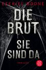 Ezekiel Boone: Die Brut - Sie sind da, Buch