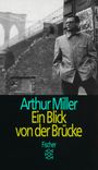 Arthur Miller: Ein Blick von der Brücke, Buch