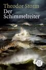 Theodor Storm: Der Schimmelreiter, Buch