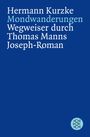 Hermann Kurzke: Mondwanderungen, Buch