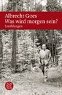 Albrecht Goes: Was wird morgen sein?, Buch