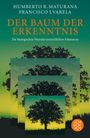 Humberto R. Maturana: Der Baum der Erkenntnis, Buch