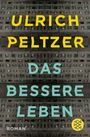 Ulrich Peltzer: Das bessere Leben, Buch
