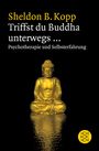 Sheldon B. Kopp: Triffst du Buddha unterwegs..., Buch