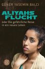 Güner Balci: Aliyahs Flucht, Buch