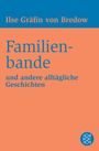Ilse Gräfin Von Bredow: Familienbande, Buch