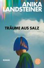 Titel: "Träume aus Salz", Autorin: Anika Landsteiner, Roman. Illustration eines Menschen mit blauem Haar unter abstrakten Farben.