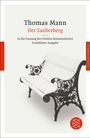 Thomas Mann: Der Zauberberg, Buch