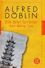 Alfred Döblin: Die drei Sprünge des Wang-lun, Buch