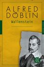 Alfred Döblin: Wallenstein, Buch