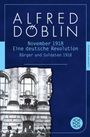 Alfred Döblin: November 1918, Buch