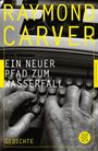 Raymond Carver: Ein neuer Pfad zum Wasserfall, Buch