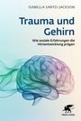 Isabella Sarto-Jackson: Trauma und Gehirn, Buch