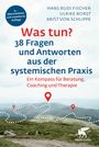 Text im Bild: "Was tun? 38 Fragen und Antworten aus der systemischen Praxis". Hintergrund: Hügelige Landschaft.