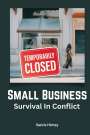 Alvis Hintz: Small Business Survival in Conflict, Buch