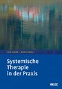 : Systemische Therapie in der Praxis, Buch