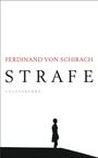 Ferdinand von Schirach: Strafe, Buch
