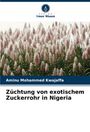 Aminu Mohammed Kwajaffa: Züchtung von exotischem Zuckerrohr in Nigeria, Buch